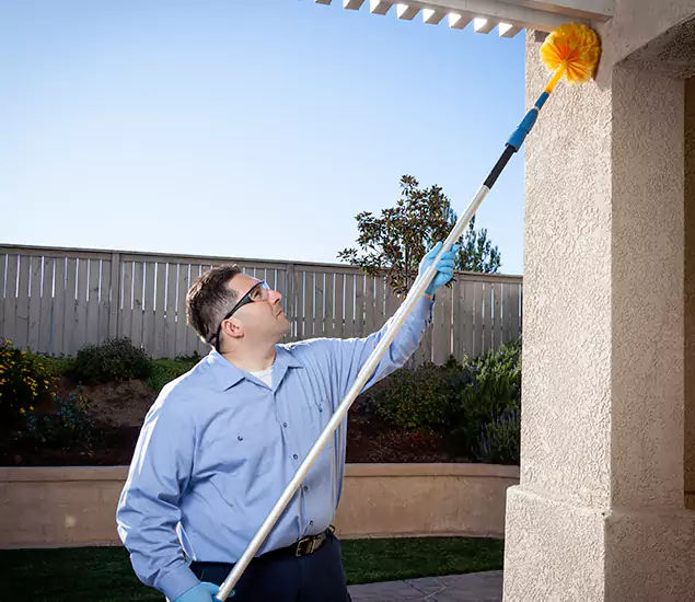 Trusted Experts in Klamath Falls OR for Formosan Termite Treatment and Black Termite Control