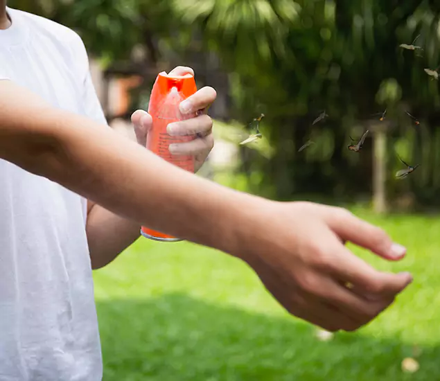Your Best Indoor Bug Killer Team in Klamath Falls, OR