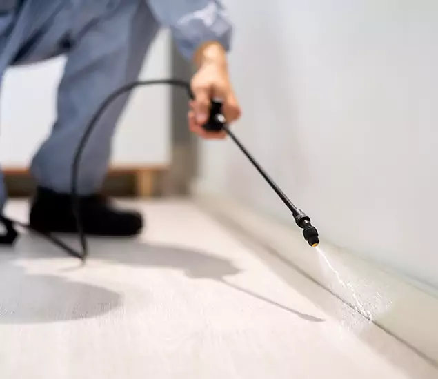 About Our Liquid Termite Treatment Experts in Klamath Falls, OR