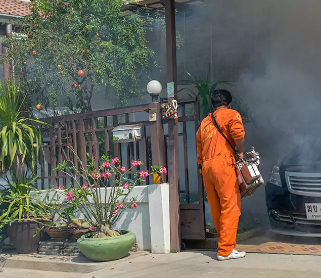 Your Proven Mosquito Fogging Company in Klamath Falls, OR