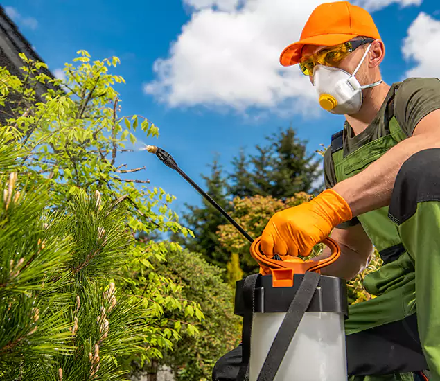 Your Best Bug Spray for Home Team in Klamath Falls, OR