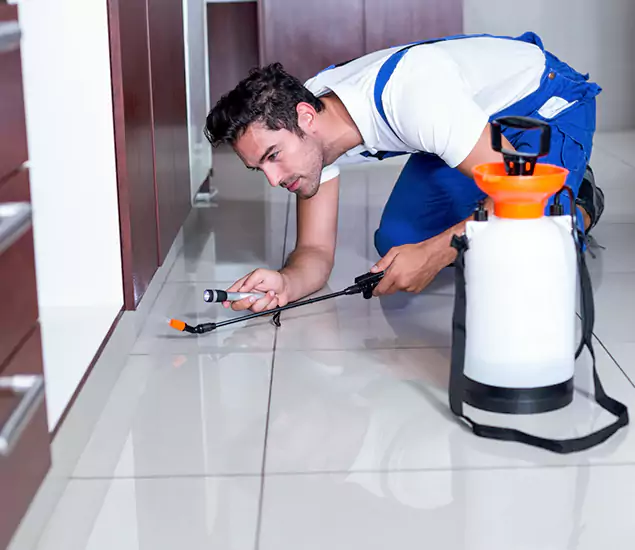Reliable Professional Mouse Removal: Your Best Mouse Control Company in Klamath Falls, OR