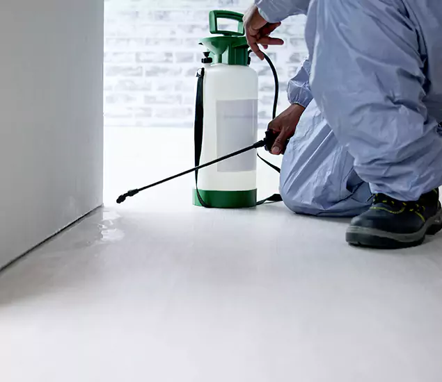 Affordable Pest Control Experts in Klamath Falls, OR