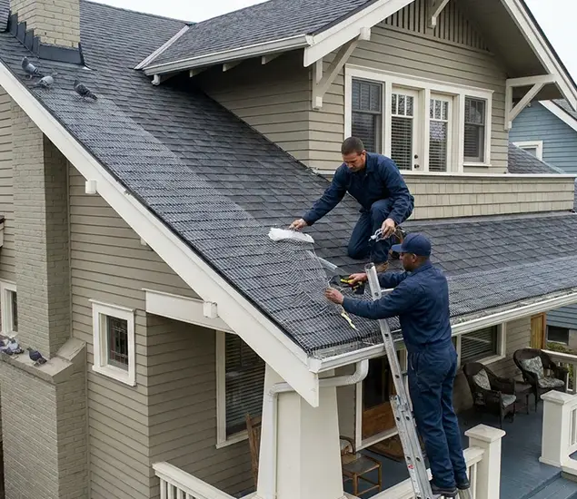 Your Pigeon Control Experts in Klamath Falls, OR