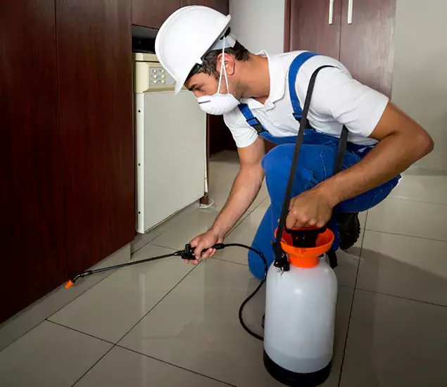 Advanced Termite Pre Treatment Experts in Klamath Falls, OR