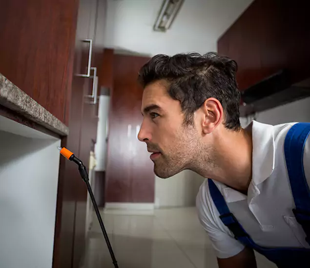 Expert Rodent in Attic Removal: Your Proven Pest Specialists in Klamath Falls, OR