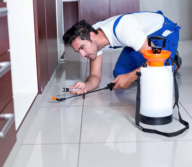 Advanced Slab Termite Treatment Experts You Can Trust&nbsp;in Klamath Falls, OR