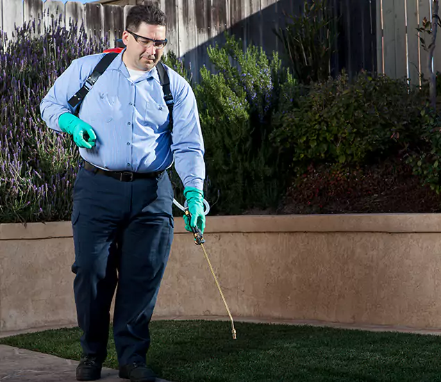 Reliable Termite Barrier Treatment Experts in Klamath Falls, OR