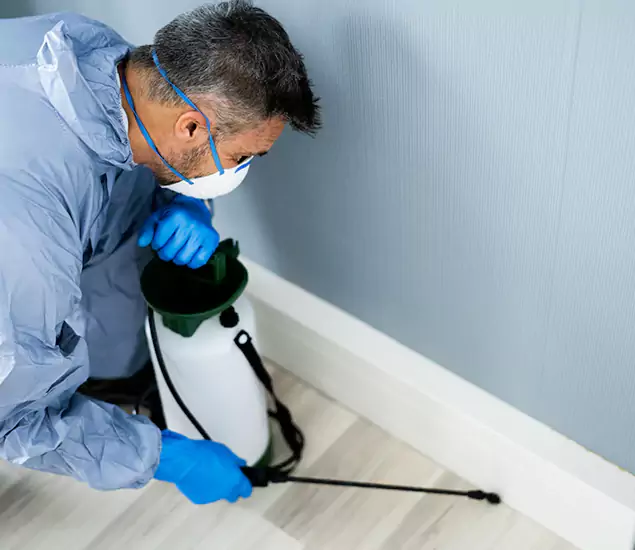 Reliable Termite Cost Experts in Klamath Falls, OR