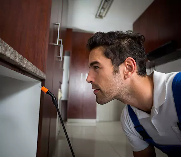 Termite Inspection Cost Experts You Can Trust in Klamath Falls, OR