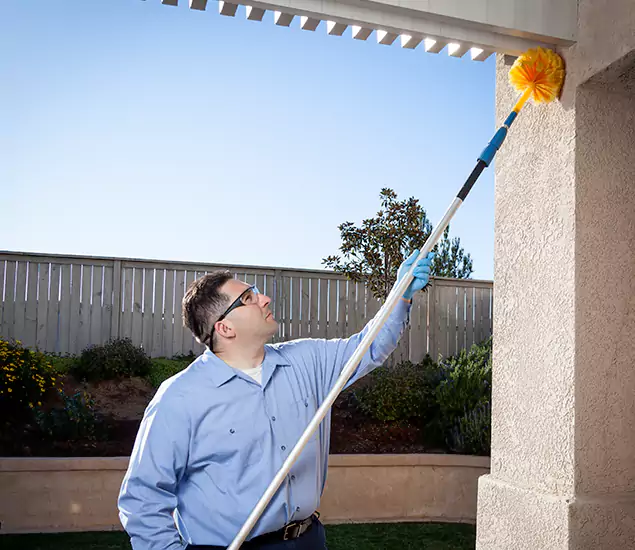 Your Trusted Wasp Removal Company in Klamath Falls, OR