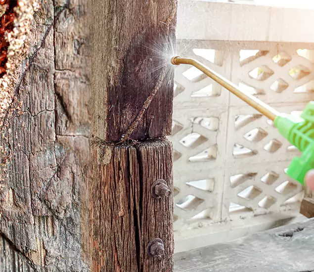 About Wood Termite Treatment Services in Klamath Falls, OR
