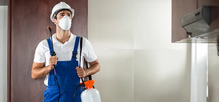 Per Room Bed Bug Cost in Klamath Falls