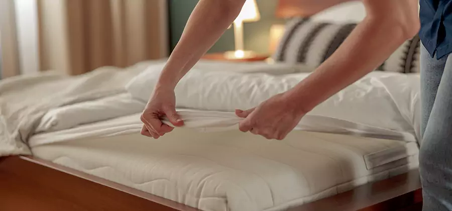 Bed Bug Extermination Services in Klamath Falls