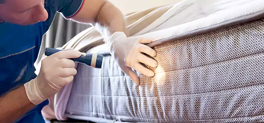 Residential Bed Bug Treatment Cost in Klamath Falls