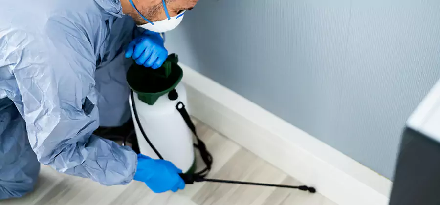Fumigate Apartment Roaches in Klamath Falls