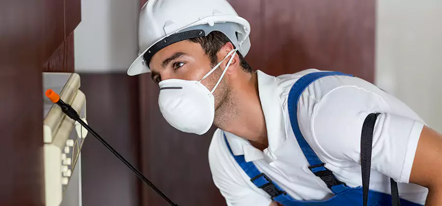Injection Foam Treatment for Drywood Termites in Klamath Falls