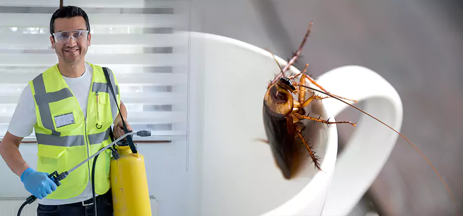 German Roach Infestation Treatment Klamath Falls