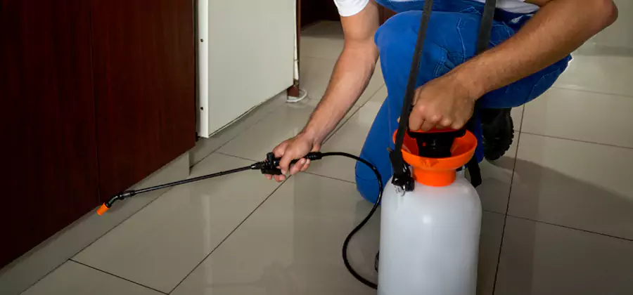 Indoor Mosquito Treatment in Klamath Falls