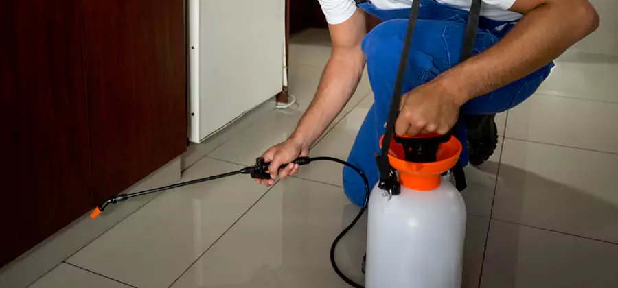 Indoor Insect Killer Solutions in Klamath Falls
