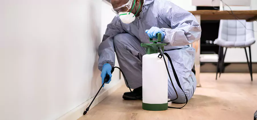 Long Lasting Mosquito Treatment in Klamath Falls