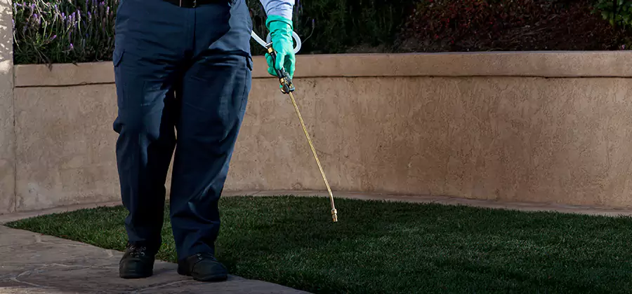 Soil Treatment for New Construction Termites in Klamath Falls
