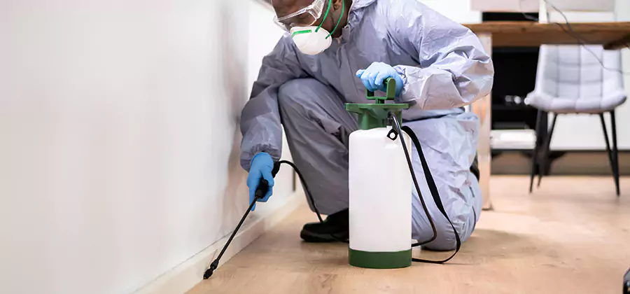 No Tent Termite Extermination With Electric Tool in Klamath Falls