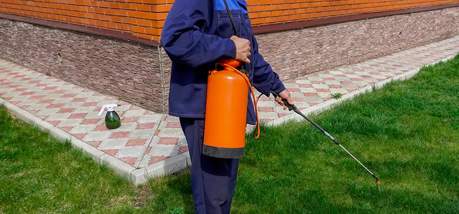 Non Toxic Termite Treatment in Klamath Falls