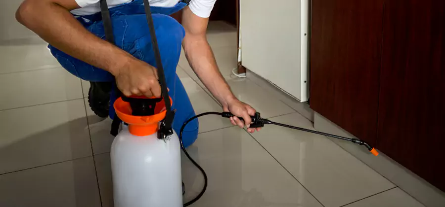 One Time Termite Control in Klamath Falls