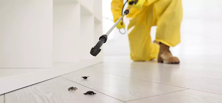 Roach and Bed Bug Exterminator in Klamath Falls