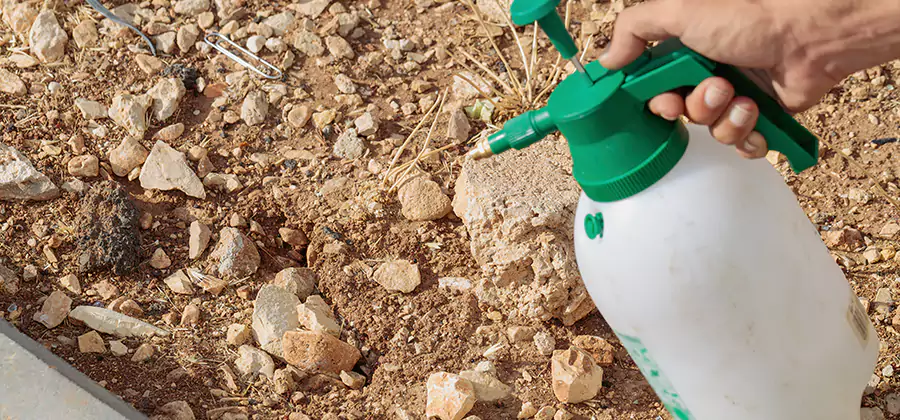Heat Treatment Termite Cost in Klamath Falls