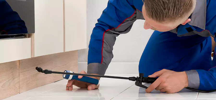 Moisture Treatment For Termite Control Service in Klamath Falls