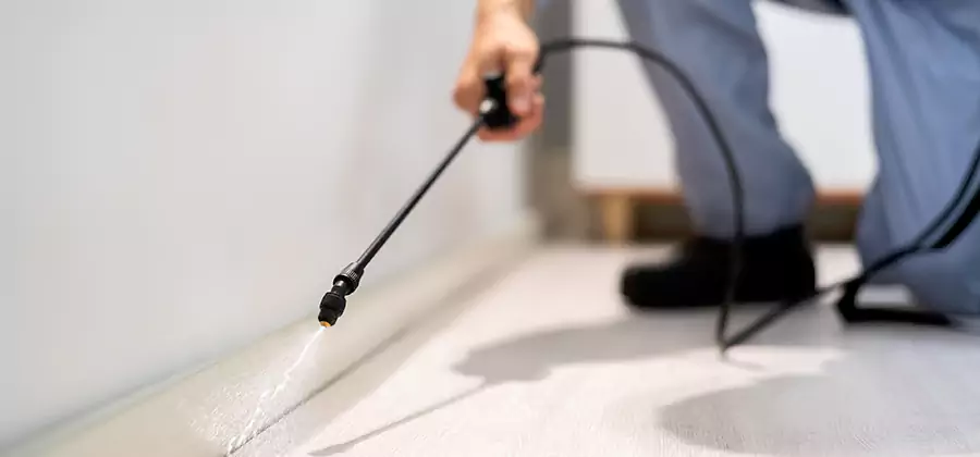 Direct Termite Injection Treatment in Klamath Falls