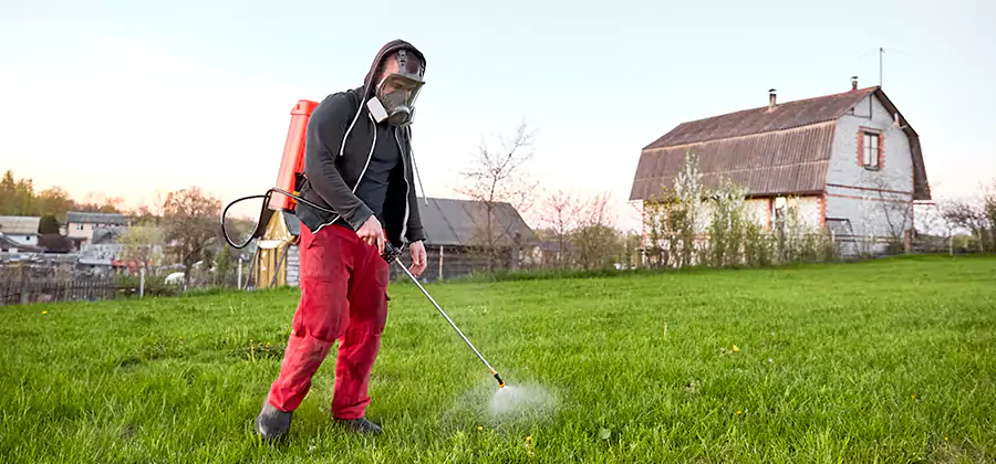 Flea and Tick Pest Control in Klamath Falls