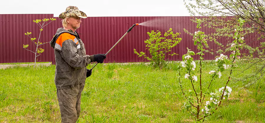Flea and Tick Spray for Yard in Klamath Falls