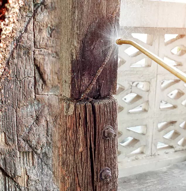 Why Choose Klamath Falls Pest Control Pro for Attic Termite Treatment in Klamath Falls, OR?