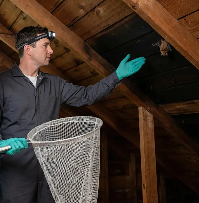 Why Klamath Falls Pest Control Pro Is the Right Choice in Klamath Falls, OR?