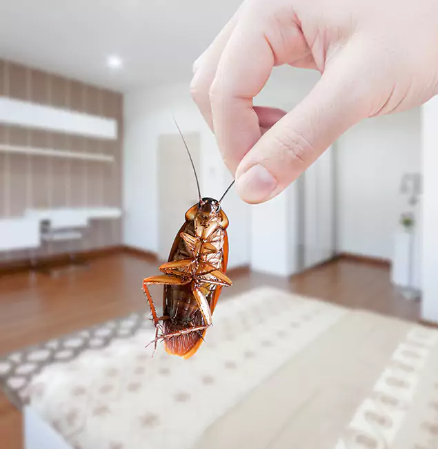 Why Klamath Falls Pest Control Pro Stand Out for Bed Bug Fumigation in Klamath Falls, OR?