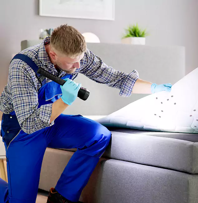 Why Choose Klamath Falls Pest Control Pro For Bed Bug Heat Treatment in Klamath Falls, OR?