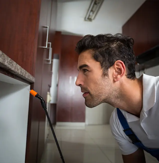 Why Choose Klamath Falls Pest Control Pro for Bed Bug Removal Cost in Klamath Falls, OR?