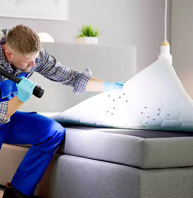 Why Choose Klamath Falls Pest Control Pro in Klamath Falls, OR?