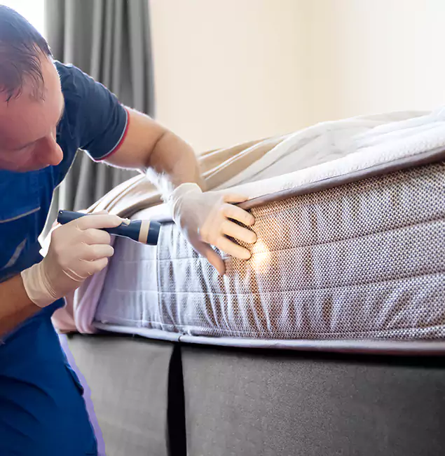 Why Choose Klamath Falls Pest Control Pro for Bed Bug Services in Klamath Falls, OR?