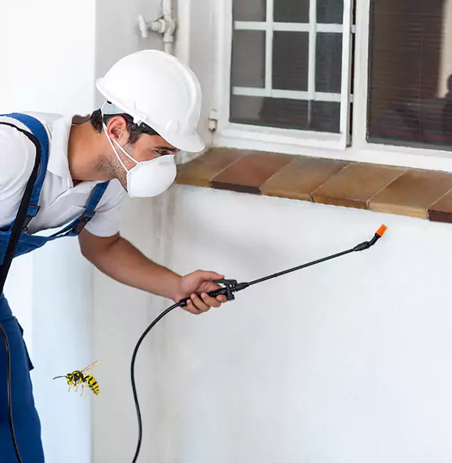 Why Klamath Falls Property Owners Choose Klamath Falls Pest Control Pro for Bee Nest Removal?