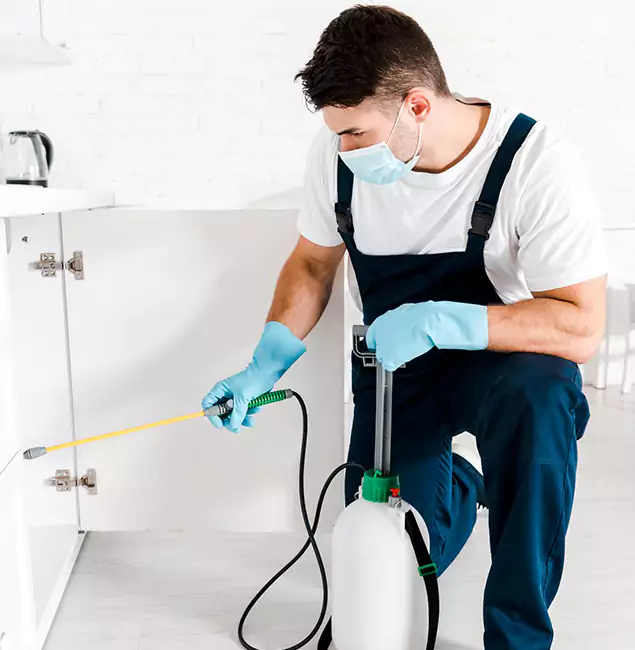Why Choose Klamath Falls Pest Control Pro for Emergency Pest Control in Klamath Falls?