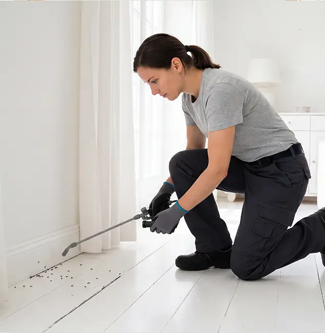 Why Klamath Falls, OR Property Owners Trust Klamath Falls Pest Control Pro for Fire Ant Control?