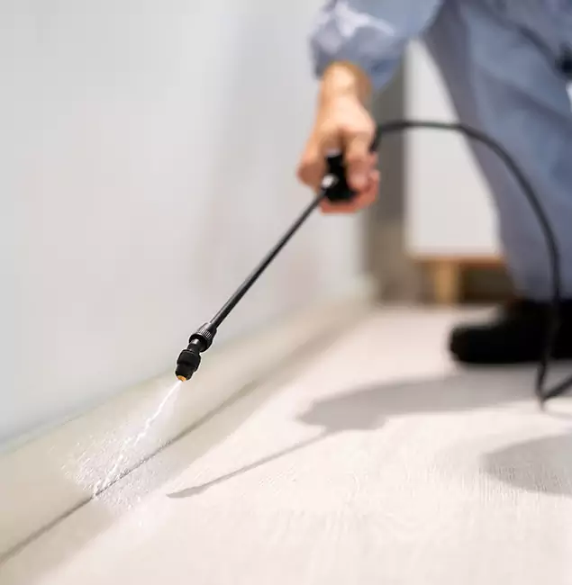Why Choose Klamath Falls Pest Control Pro for Termite Treatment in Klamath Falls, OR?
