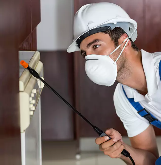 Why Klamath Falls Homeowners Rely on Klamath Falls Pest Control Pro for Tick Treatment?