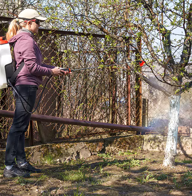 Why Klamath Falls Homeowners Choose Klamath Falls Pest Control Pro for Mosquito Abatement?