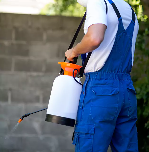 Why Klamath Falls Homeowners Rely on Klamath Falls Pest Control Pro for Mosquito Control?