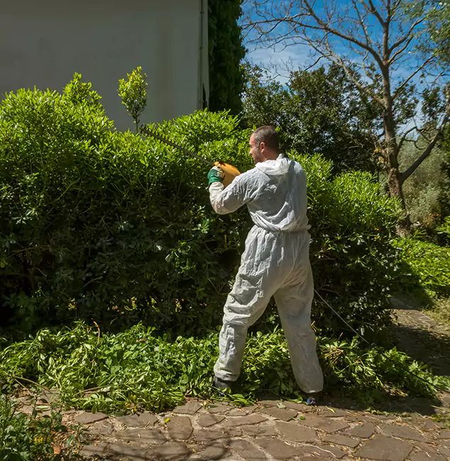 Why Klamath Falls Pest Control Pro Leads Mosquito Control in Klamath Falls, OR?